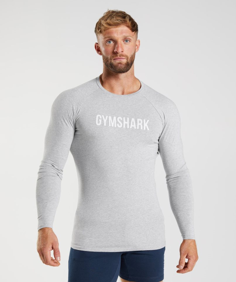 Men\'s Gymshark Apollo Long Sleeve T-Shirts Light Grey | CA N57860